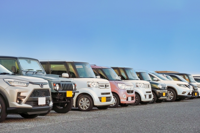DM・展示会